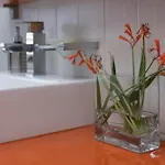 Guest house Albjona Tirana